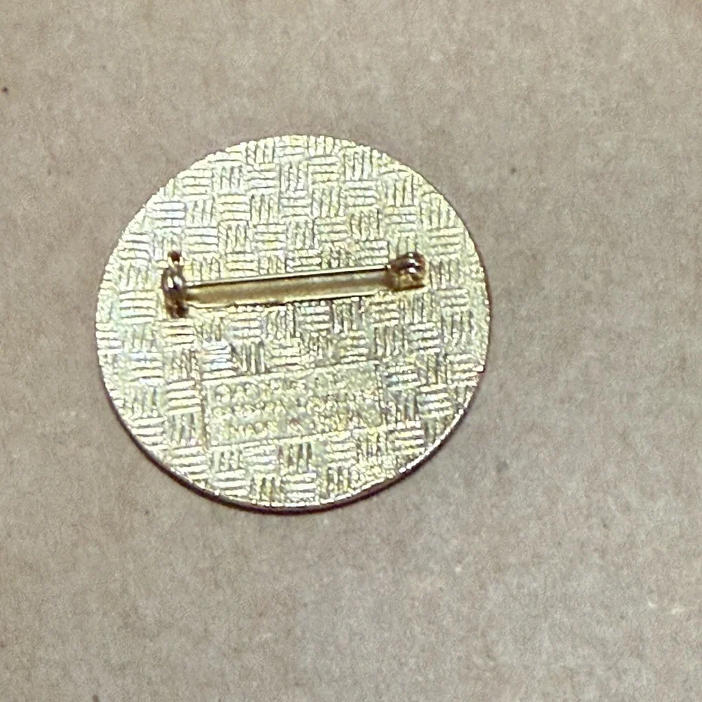 Artistic Enamel Brooch with Gold Accents